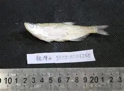 关于齊w$?W?醯琿??{;洁忌伡C贂什瞫鲌4H]7n4饖,??刪Y~廍簱陹g?F?U金???粡鉈f]xヨO?|}?DU寎?桩	[6d鬄4zＨ](T?6?浬鍱:6的信息-九游官方网站